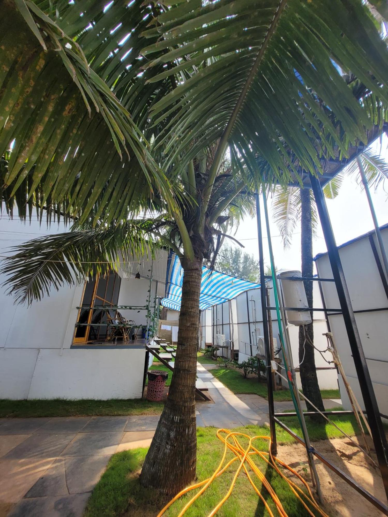 Kashinath Beach Huts Агонда Екстериор снимка